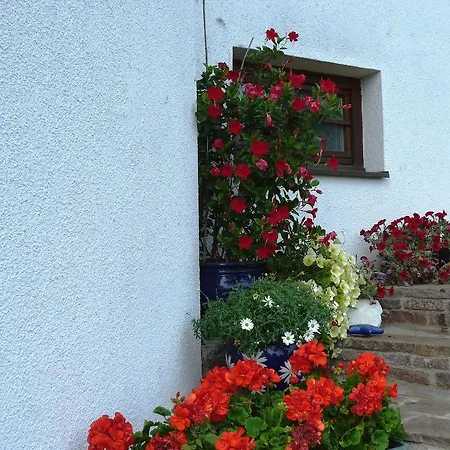 Ferienhaus Bluemel Inkl. Freier Strandbadeintritt Apartment