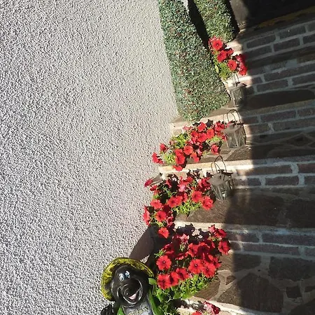 Bluemel Inkl. Freier Strandbadeintritt * Velden am Wörthersee