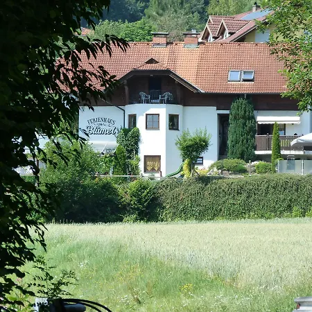 Bluemel Inkl. Freier Strandbadeintritt