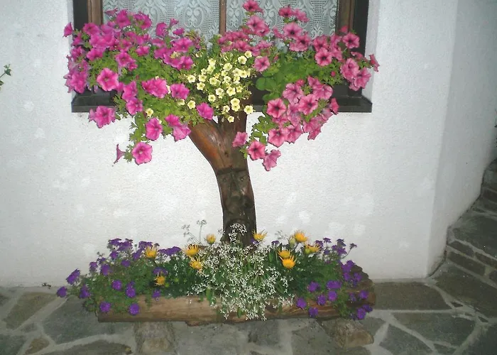 Bluemel Inkl. Freier Strandbadeintritt *